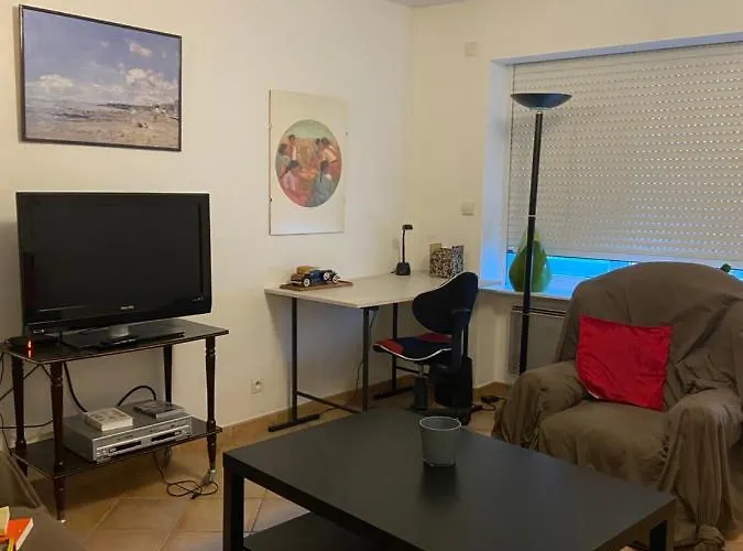 Appartement Rez de chaussée T2 centre-ville
